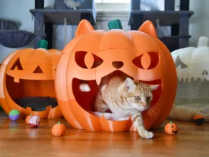 Cama Abóbora para Gatos 3D Petg 2025 10 14 57d5a77965c85